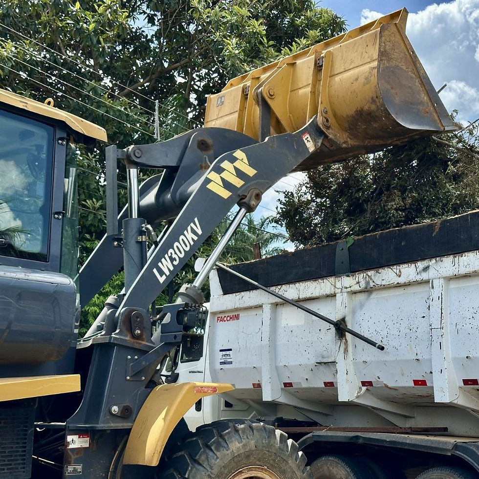 entre os dias 12 e 16