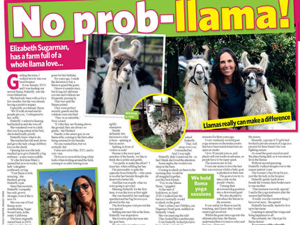 Butterfly gets the Royal Treatment!