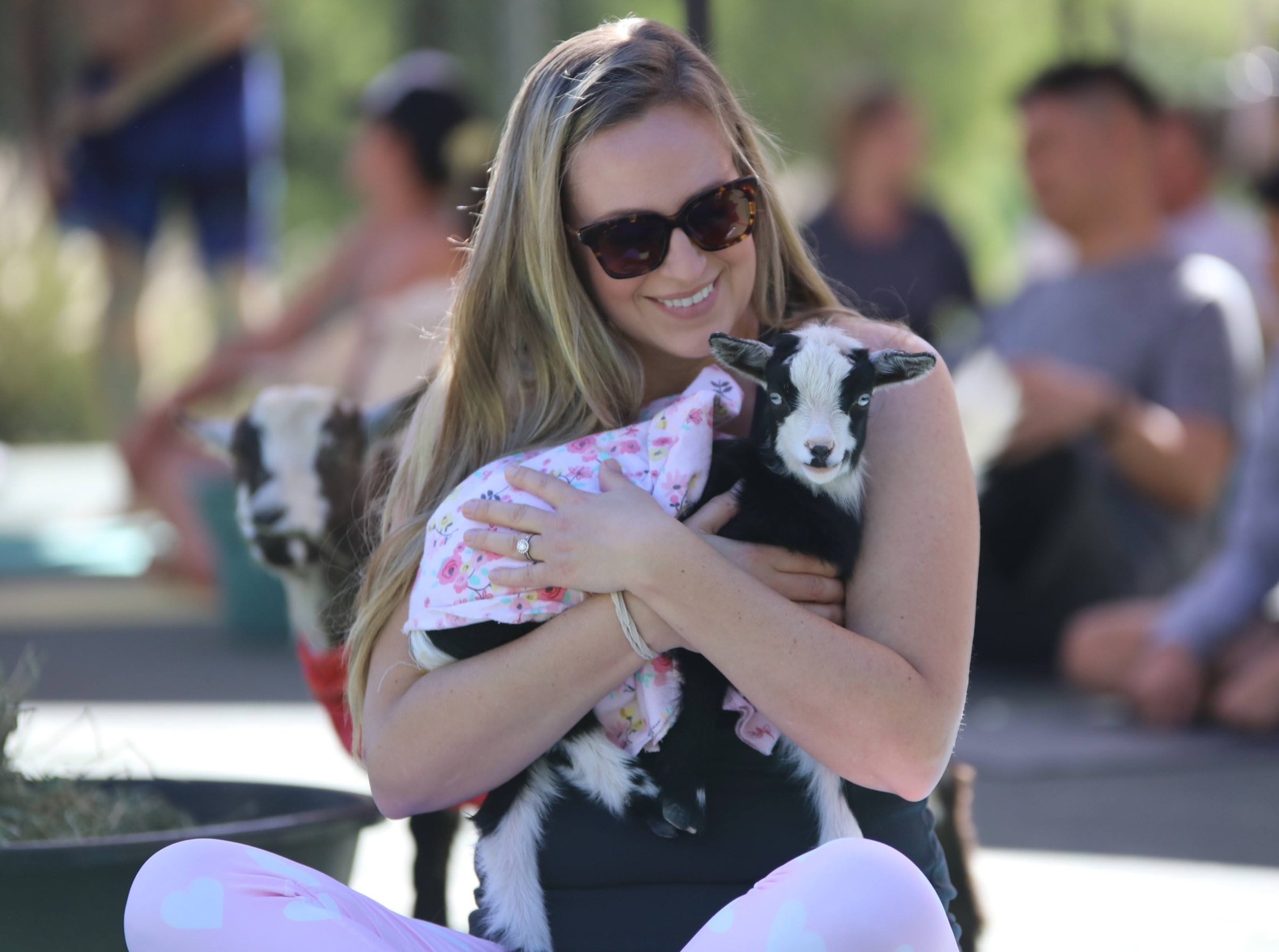 Breakfast, Goats & Yoga? Yes, Please!