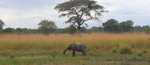 African Adventures – Part I.