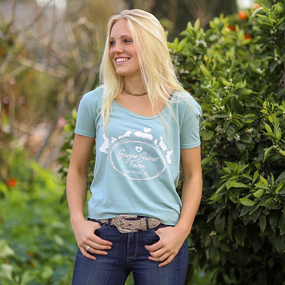 Sugar Sweet Farm Logo Tee (Stonewash Green) Sugar Sweet Farm