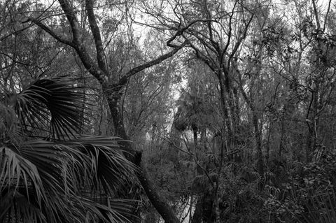 Hotels-Models14015 2_edit_new 2.jpg