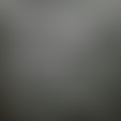 El Pejerrey comparte sus saberes