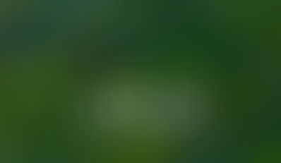 【老鷹想飛】―― 天空中翅膀的痕跡