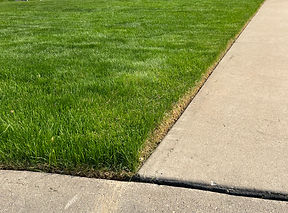 Lawn Edging