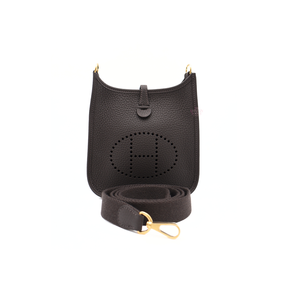 Thumbnail: Hermes Borsa Evelyne 16 TPM Amanzone Clemence Leather in Bai/Brun GHW