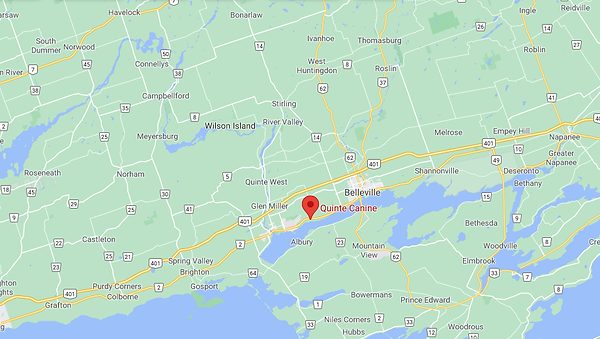 Map Location (2).png