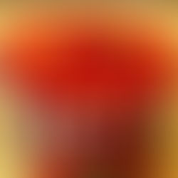 Comer postres es saludable