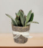 Catálogo Suculentas florescer - Lembrancinhas (8)_edited.jpg