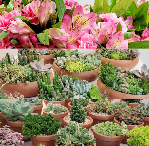 Design sem nome (4).png