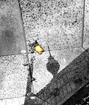 Laura Schebelle Reflected 3