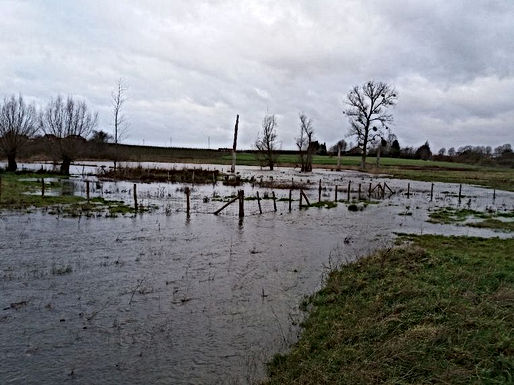 Er komt een overstromingszone aan de Winterbeek in Romershoven