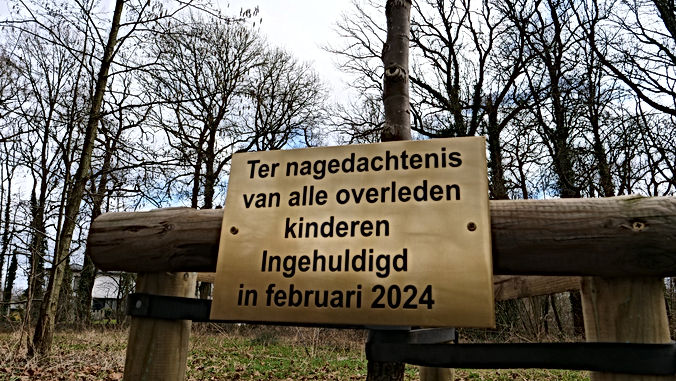 Bilzen plant vaantjesboom in Munsterbilzen