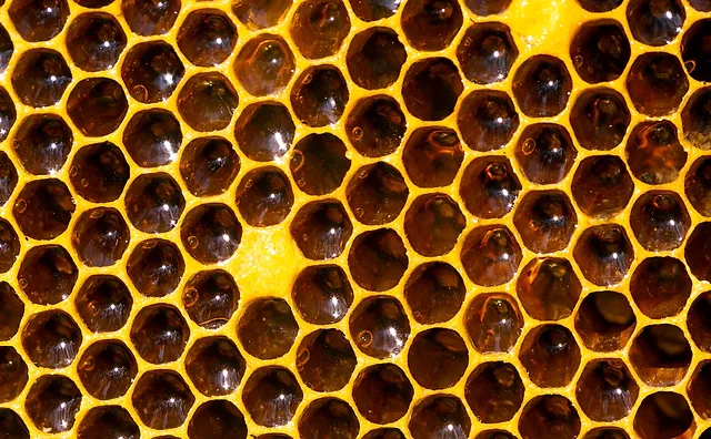 Mad Honey Certified Seller Free Worldwide Shipping World wide shipping via dhl and armex at your doorstep. mad honey certified seller free