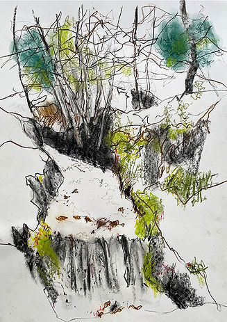 pastel-mixmedia_35x50_wald_4_2024.jpg