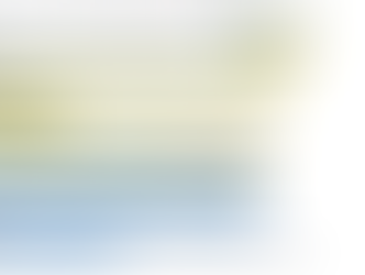 Engaging One on One: The Peer Review Process