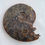 Thumbnail: Ammonite Cleoniceras sp.  (am9)