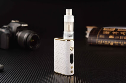 elfbar elfa master akku Playboy 510 Vape Cartridge Battery by RYOT