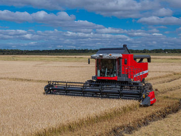 Do arroz à soja, Massey Ferguson destaca versatilidade de máquinas agrícolas na Expointer 2025