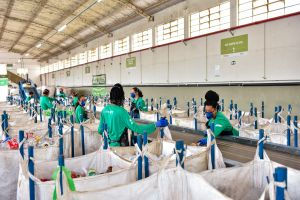 Reciclagem e Economia Circular: SIG Apoia Iniciativas Sustentáveis no Brasil