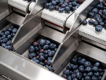 Logofruits está crescendo rapidamente graças às soluções para linhas de alimentos TOMRA