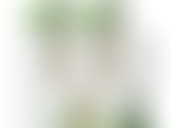 Resíduos que viram embalagem: nova geração de copos biodegradáveis chega ao foodservice