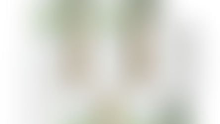 Resíduos que viram embalagem: nova geração de copos biodegradáveis chega ao foodservice