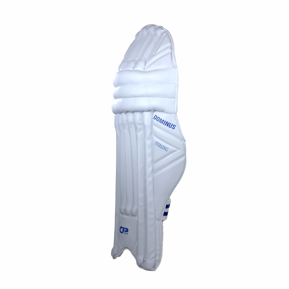 Thumbnail: GARYSPLAY STERLING DOMINUS BATTING LEG GUARD