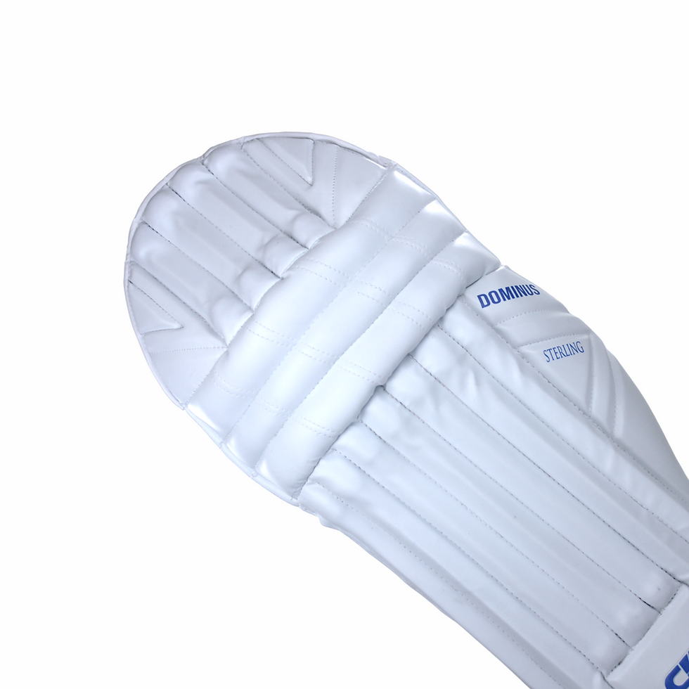 Thumbnail: GARYSPLAY STERLING DOMINUS BATTING LEG GUARD