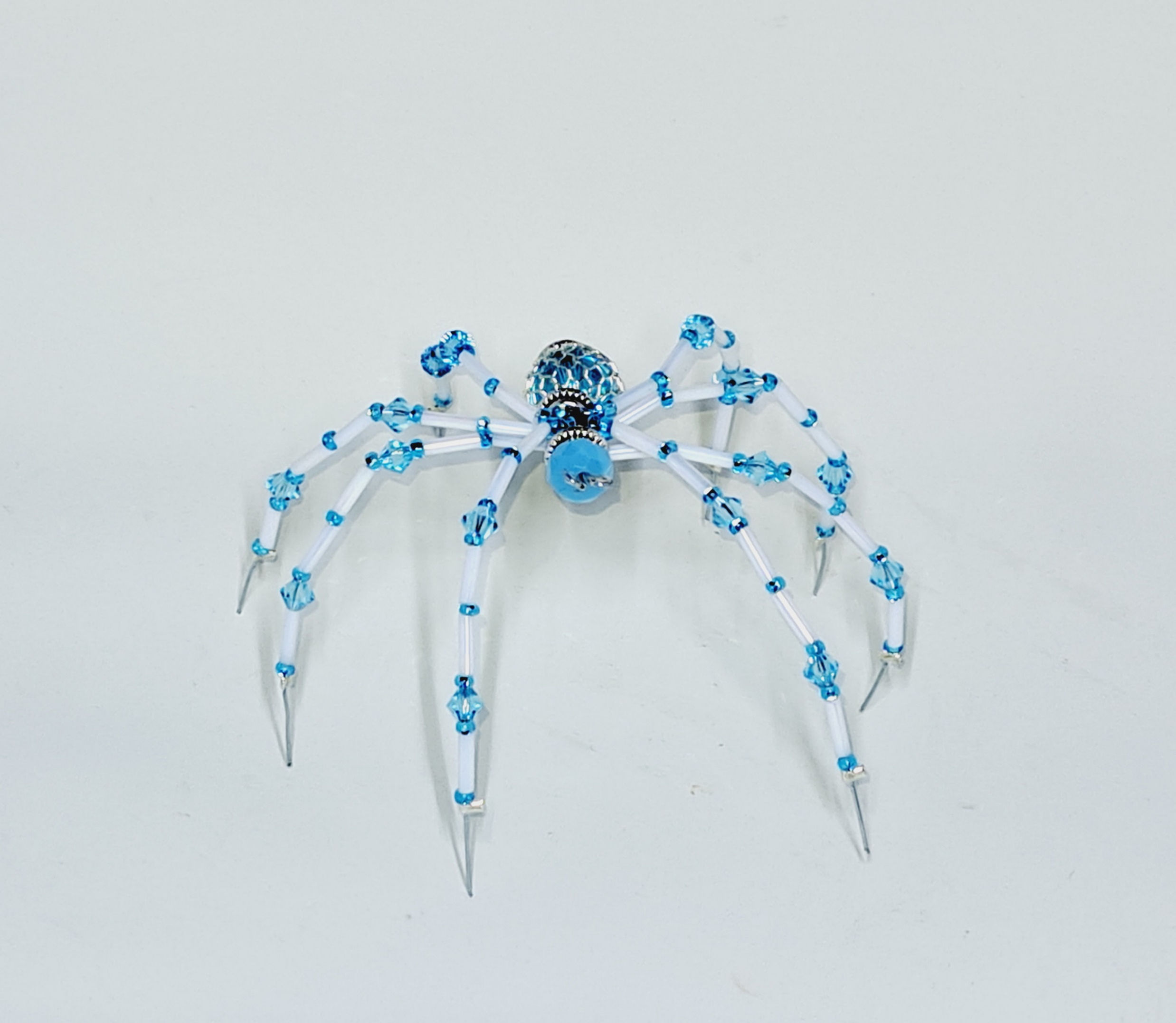 Araignée bleue pattes minces protège moustiquaire