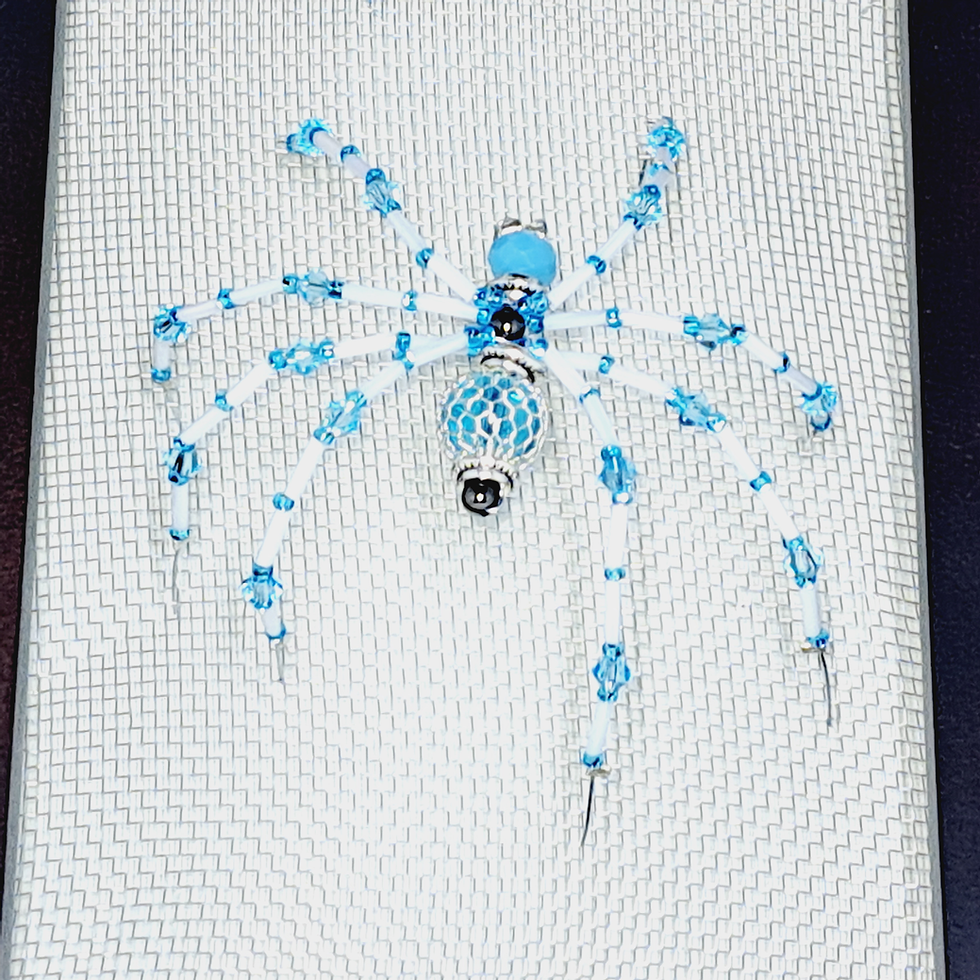 Miniature : Araignée bleue pattes minces protège moustiquaire