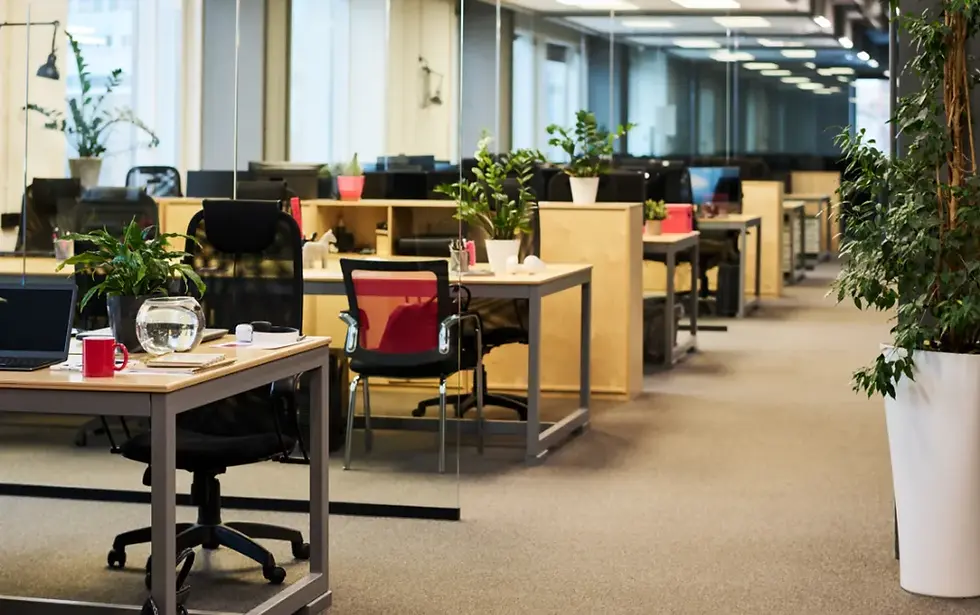 Green Spaces & Indoor Plants