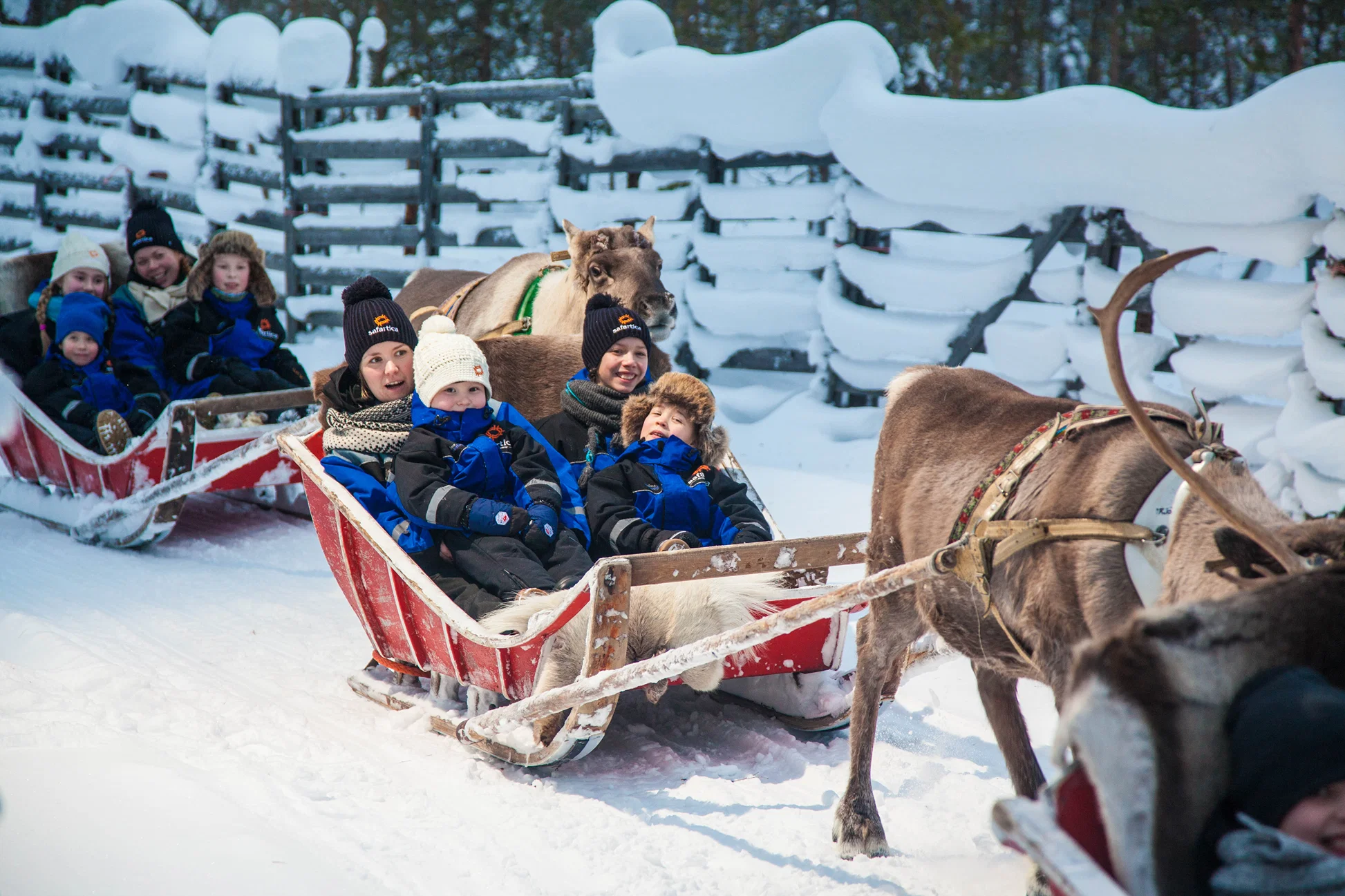 Reindeer tours in Lapland