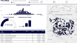 Infographie Interactive du Marché Résidentiel Français