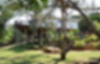 Campismo-Ninho-House-29-1