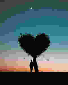 silhouette photo of man leaning on heart shaped tree