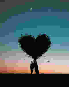 silhouette photo of man leaning on heart shaped tree