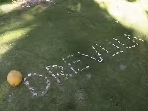 Drevula - Drone Picture.avif