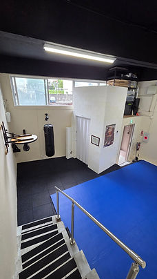 BJJ-Mat-Area-Wide-Stairs-01.jpg