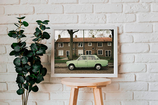 green lada mockup canvas.jpg