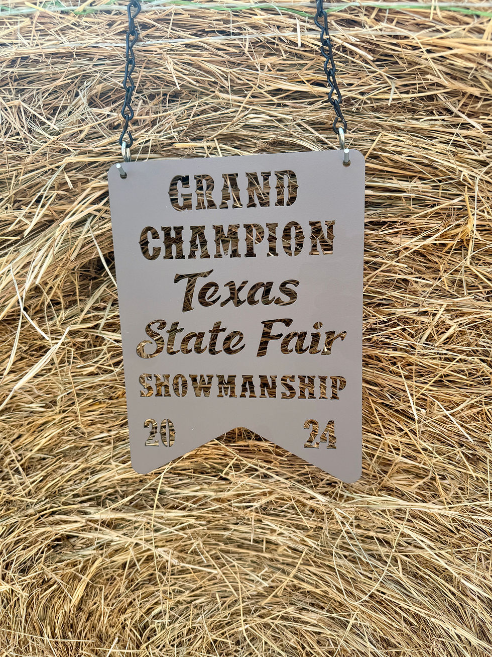 Thumbnail: Custom Metal Stock Show Award
