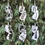 Thumbnail: New Jersey Metal Ornament