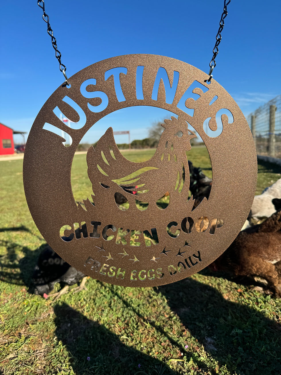 Thumbnail: Your Name Custom Chicken Coop Decoration
