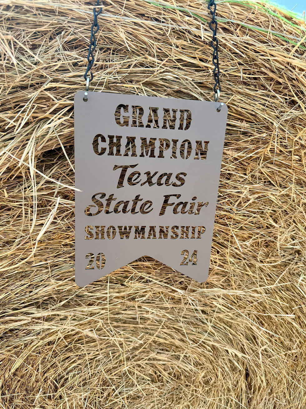 Thumbnail: Custom Metal Stock Show Award
