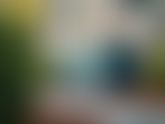 The Importance of Professional Backup Generator Installation