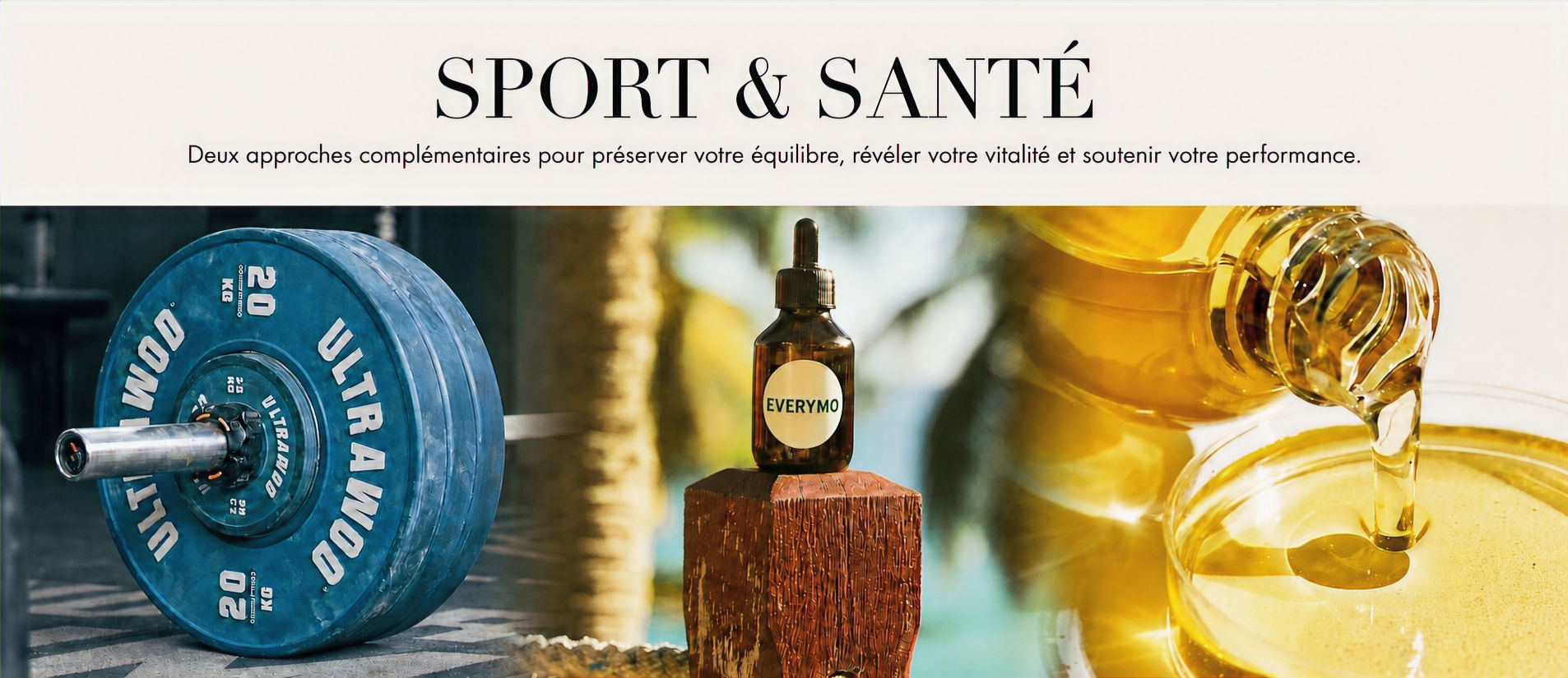 Formation Everymo — Les savoirs authentiques