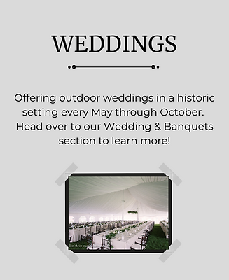 Paddock Wedding2.png