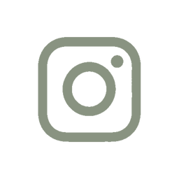 NanoVecta Instagram Green Transparent 256.png
