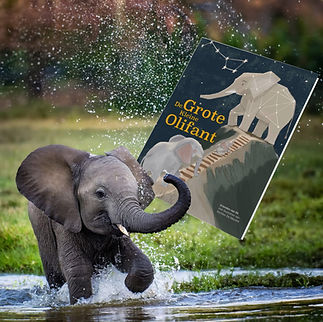 boek olifant.jpeg