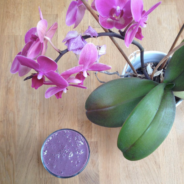 Recipe - Super Powered Berry Smoothie